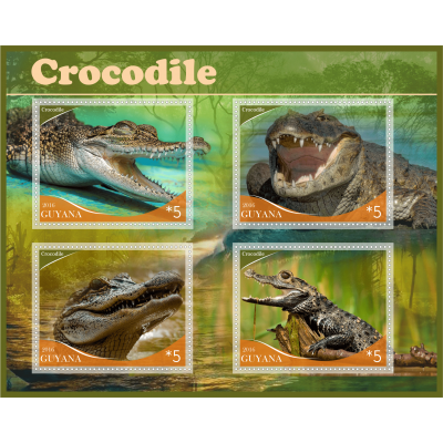 Фауна Крокодилы
